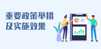 重要政策舉措及實施效果